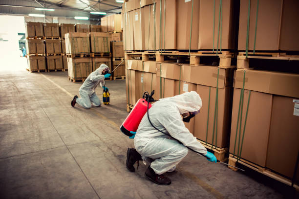 Best Rat Extermination Near Me  in Big Rock, IL