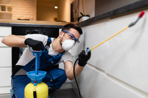Best Best Pest Control Companies  in Big Rock, IL