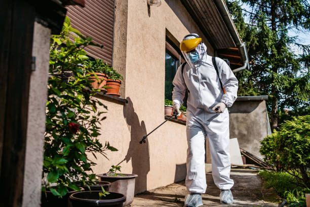 Best Pest Prevention Services  in Big Rock, IL