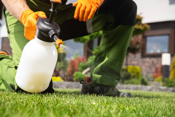 Best Mosquito Control Services  in Big Rock, IL