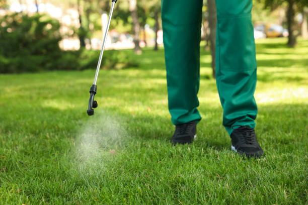 Reliable Big Rock, IL Pest Control Solutions