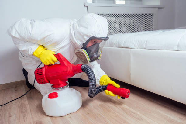 Best Bed Bug Extermination  in Big Rock, IL