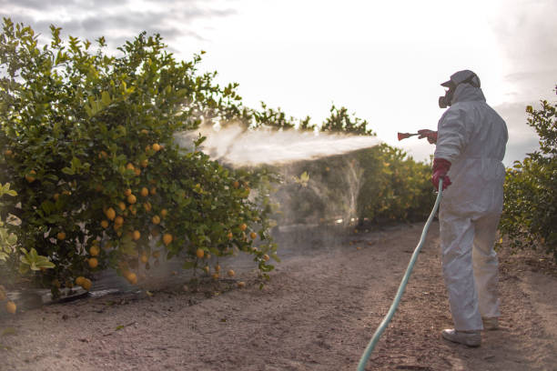 Best Cockroach Control Services  in Big Rock, IL
