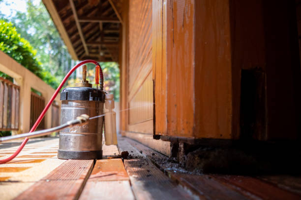 Best Exterminator Services  in Big Rock, IL