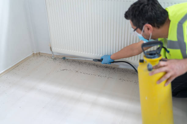 Best Emergency Pest Control  in Big Rock, IL