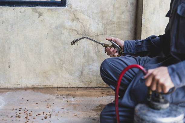 Best Mosquito Control Services  in Big Rock, IL